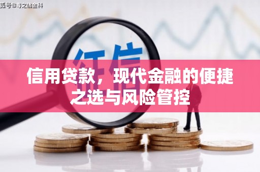 越秀信用贷款，现代金融的便捷之选与风险管控