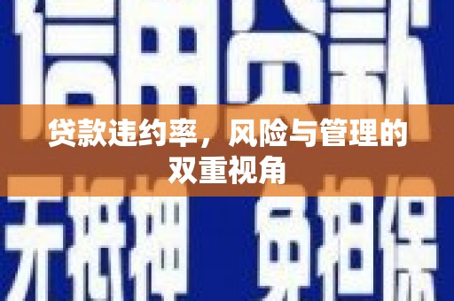 越秀贷款违约率，风险与管理的双重视角