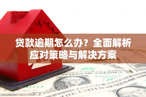越秀贷款逾期怎么办？全面解析应对策略与解决方案
