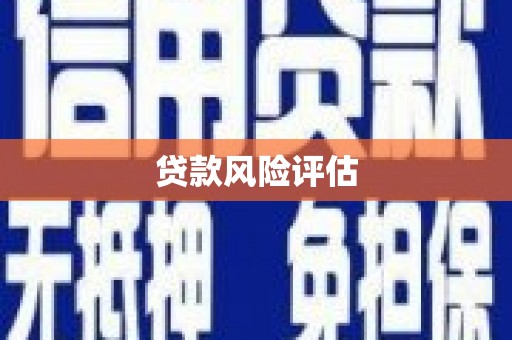 越秀贷款风险评估