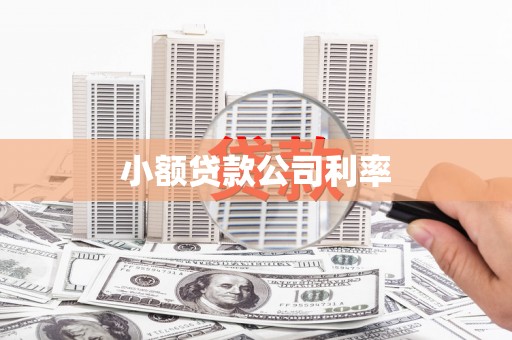 越秀小额贷款公司利率