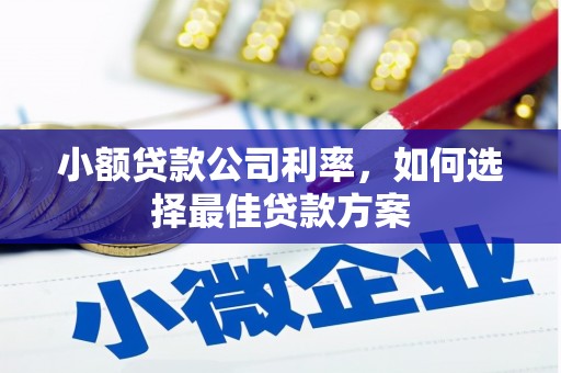 越秀小额贷款公司利率，如何选择最佳贷款方案