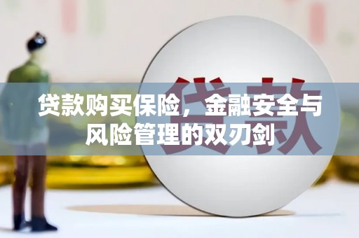越秀贷款购买保险，金融安全与风险管理的双刃剑