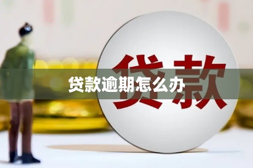 越秀贷款逾期怎么办