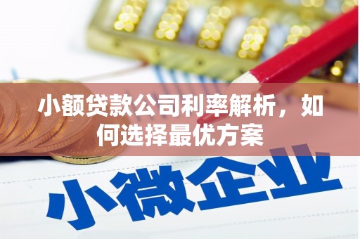 越秀小额贷款公司利率解析，如何选择最优方案