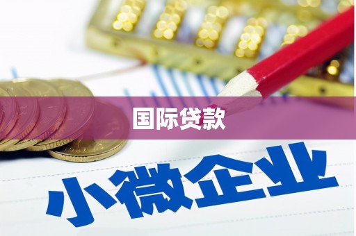 越秀国际贷款