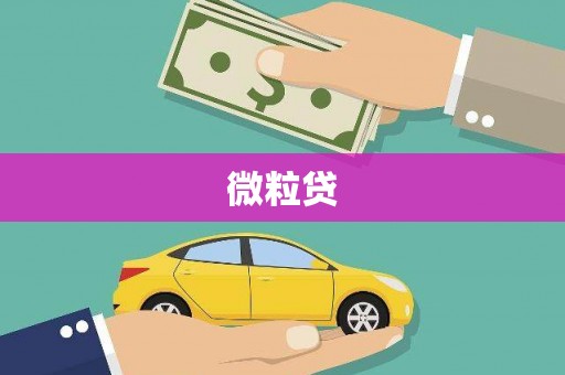 越秀微粒贷