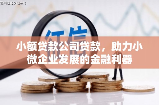 越秀小额贷款公司贷款，助力小微企业发展的金融利器
