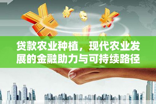 越秀贷款农业种植，现代农业发展的金融助力与可持续路径