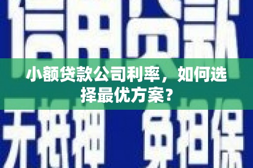 越秀小额贷款公司利率，如何选择最优方案？