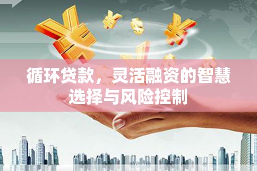 越秀循环贷款，灵活融资的智慧选择与风险控制