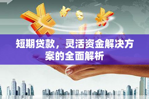 越秀短期贷款，灵活资金解决方案的全面解析