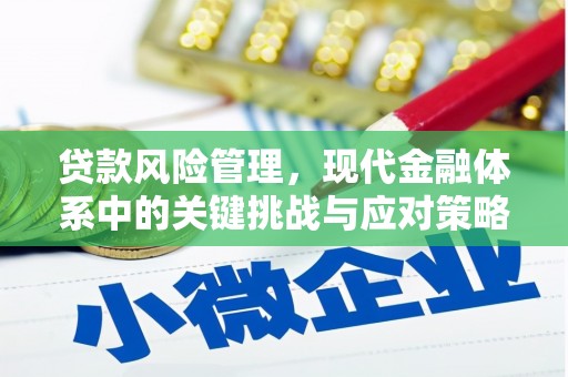 越秀贷款风险管理，现代金融体系中的关键挑战与应对策略