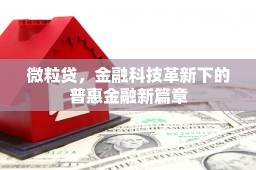 越秀微粒贷，金融科技革新下的普惠金融新篇章