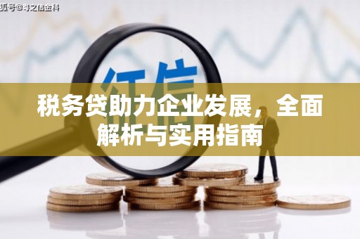 越秀税务贷助力企业发展，全面解析与实用指南