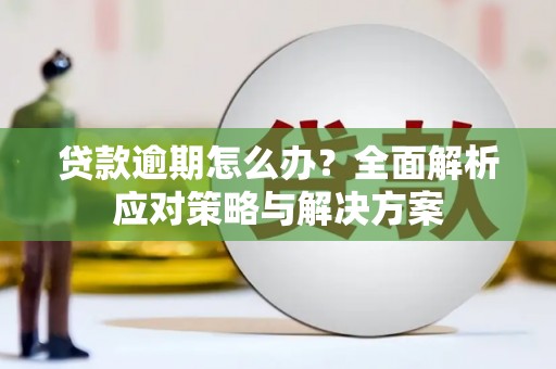 越秀贷款逾期怎么办？全面解析应对策略与解决方案